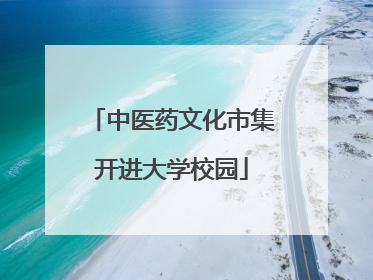 中医药文化市集开进大学校园